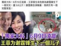 上海争力网络科技有限公司