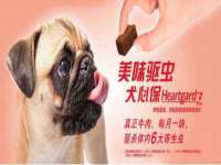 上海争力网络科技有限公司