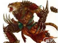 上海争力网络科技有限公司