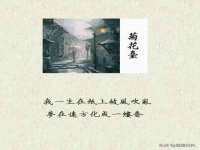 上海争力网络科技有限公司