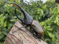 上海争力网络科技有限公司