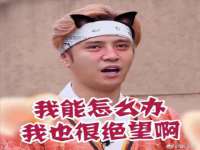 上海争力网络科技有限公司
