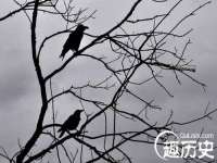 上海争力网络科技有限公司