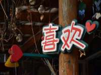 上海争力网络科技有限公司
