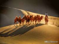 上海争力网络科技有限公司