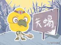 上海争力网络科技有限公司