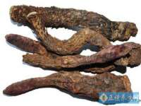 上海争力网络科技有限公司