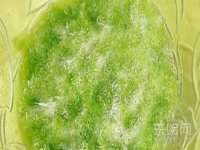 上海争力网络科技有限公司