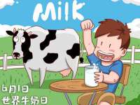 上海争力网络科技有限公司