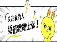 上海争力网络科技有限公司