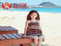 上海争力网络科技有限公司