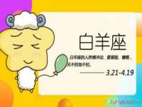 上海争力网络科技有限公司