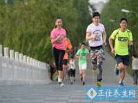 上海争力网络科技有限公司