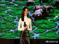 上海争力网络科技有限公司