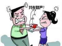 上海争力网络科技有限公司
