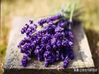 上海争力网络科技有限公司