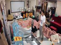 上海争力网络科技有限公司