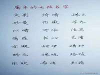 上海争力网络科技有限公司