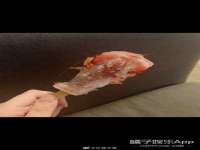 上海争力网络科技有限公司