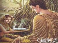 上海争力网络科技有限公司