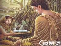 上海争力网络科技有限公司